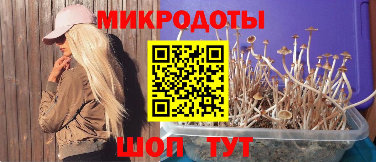 Муравленко  Псилоцибиновые грибы Magic Shrooms  Вход с VPN 